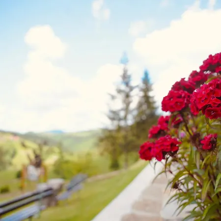 Affittacamere Zlatarska Kruna 3*